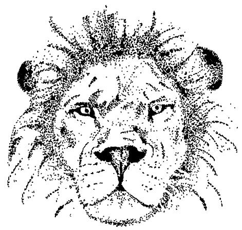 Stippling art - Lion